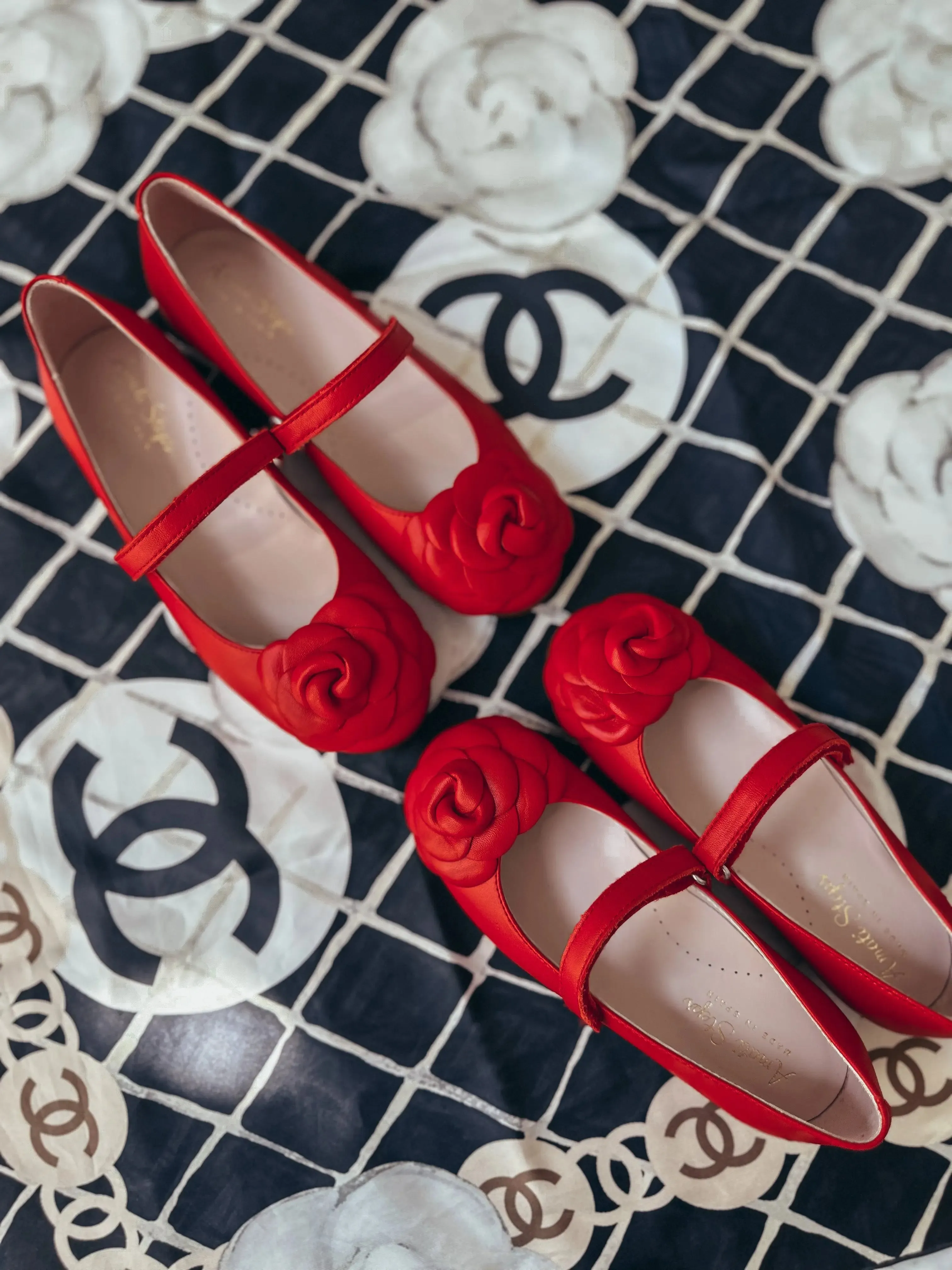 Camille- Red Leather Mary Jane Shoes